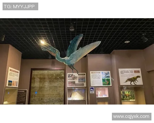 深圳羽毛球队转型之路探秘:从传统强队到现代化竞技新标杆 深圳羽毛球队转型之路探秘:从传统强队到现代化竞技新标杆