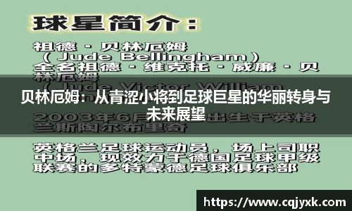 yy易游
